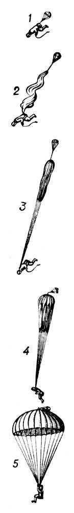 Большая Советская Энциклопедия (ПА) - i010-001-251194544.jpg