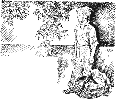 Новые дворики - Sob23022.png