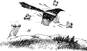 Крылатый камень - Untitled1.png