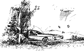 Крылатый камень - Untitled13.png