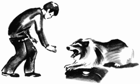 Юный дрессировщик - i_034.png