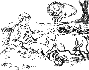 Норби и захватчики - sect_09.png