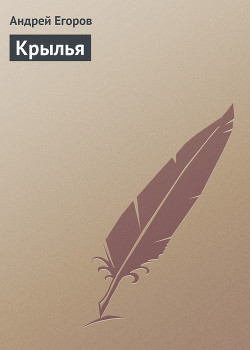 Книга Крылья