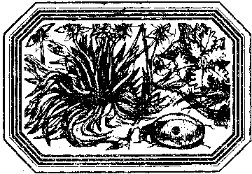 Чозения - i_005.png