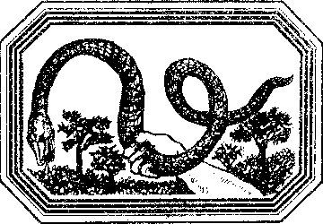 Чозения - i_006.png