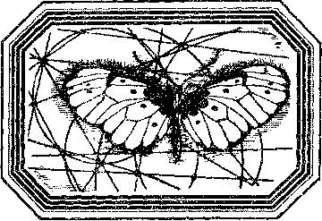 Чозения - i_009.png