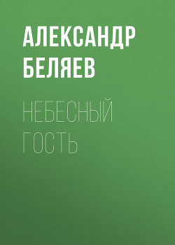 Книга Небесный гость (Сборник)