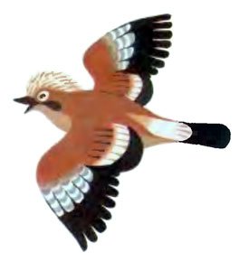 Крот в городе - i_008.jpg