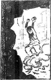 Пропавшее сокровище. Мир иной - i_022.jpg