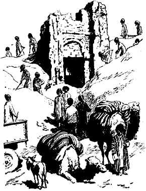 Зелёная пиала - Untitled29.png