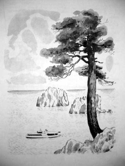 Письмо на панцире - _675892652_2.jpg