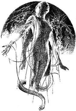 Година Бика - doc2fb_image_0300001A.png