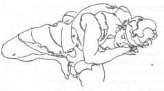 Тетради дона Ригоберто - pic4.jpg