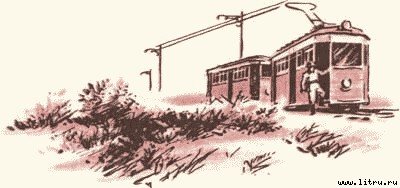 Дорога на Стрельну - any2fbimgloader20.jpg