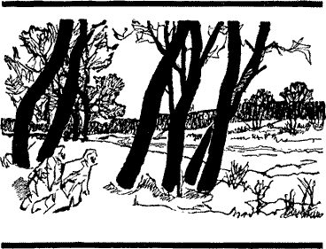Мир приключений 1962 г. № 8  - Untitled26.png