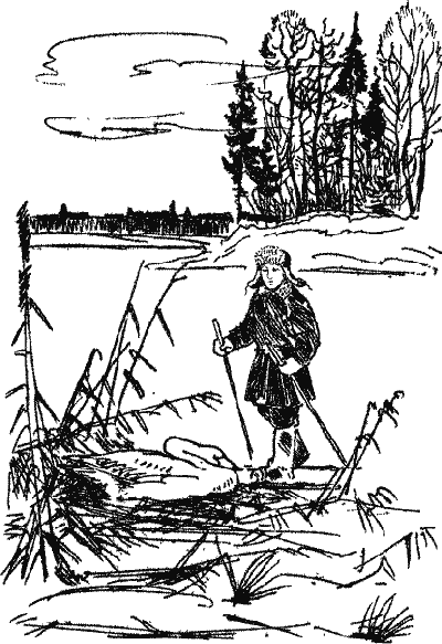 Лесной прадедушка (Рассказы о родной природе) - i_015.png