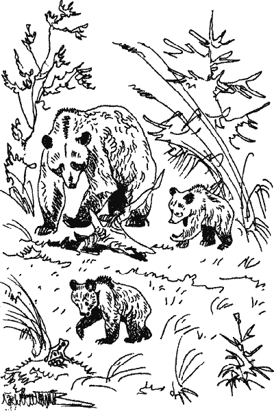 Лесной прадедушка (Рассказы о родной природе) - i_016.png