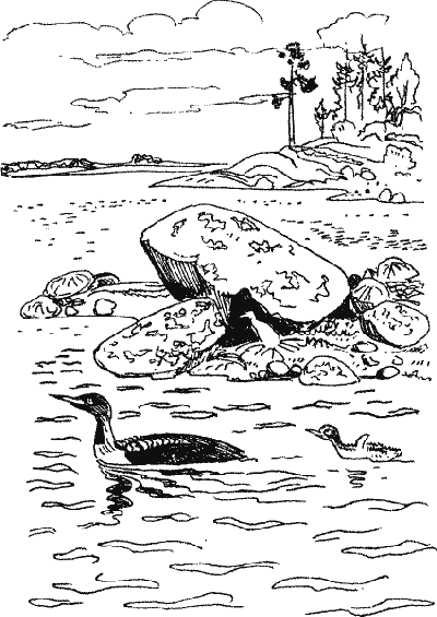Лесной прадедушка (Рассказы о родной природе) - i_018.png