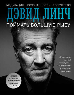 Книга Поймать большую рыбу. Медитация, осознанность, творчество