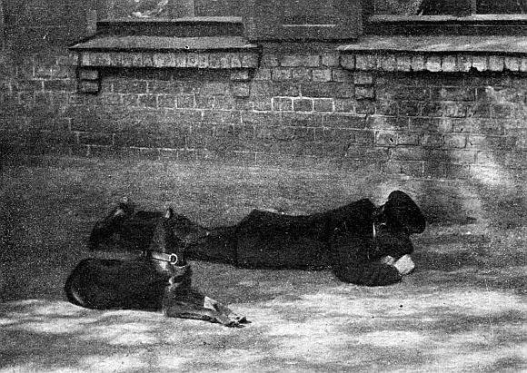 Руководство дрессировки полицейских и военных собак - i_020.jpg