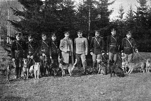 Руководство дрессировки полицейских и военных собак - i_022.jpg