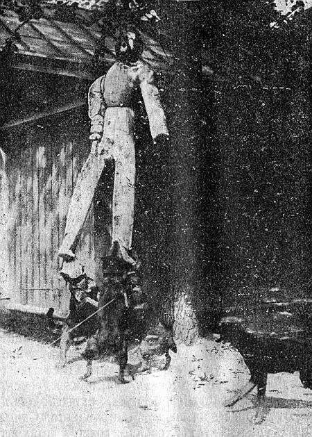 Руководство дрессировки полицейских и военных собак - i_030.jpg