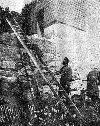 Руководство дрессировки полицейских и военных собак - i_038.jpg