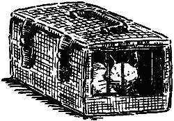 Рыжая беглянка - i_004.png