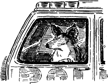 Рыжая беглянка - i_009.png