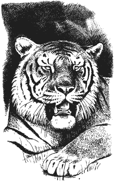 Храмовый тигр - i_010.png