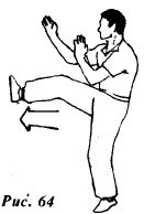 Вин Чунь.Техника второго уровня - _64.jpg