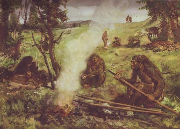 Жизнь древнего человека - i_013.jpg