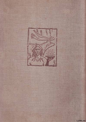 Книга Жизнь древнего человека