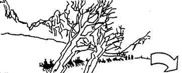 Грамматика киноязыка - _278.jpg