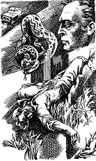 День на роздуми - img_7.png