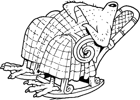 Книга всеобщих заблуждений - i_004.png