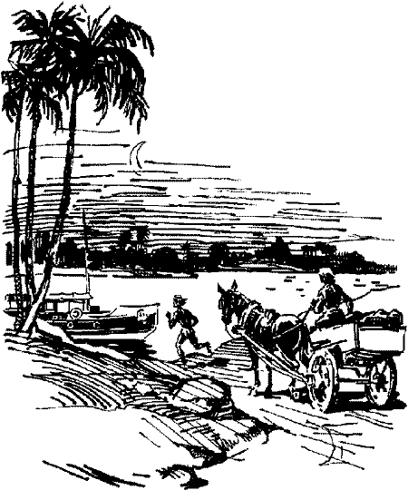 Великий день iнкiв - Untitled12.png