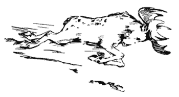 Река твоих отцов - i_014.png