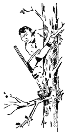 Река твоих отцов - i_015.png