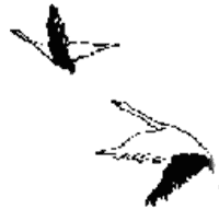 Река твоих отцов - i_023.png