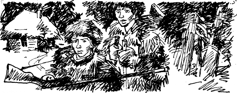 Робинзон в русском лесу - doc2fb_image_03000008.png