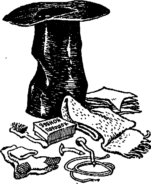 Незнайка на Луне (ил. Г.Валька ч-б) - doc2fb_image_0300006E.png