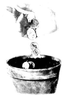 Ошибки здоровья - _36.jpg