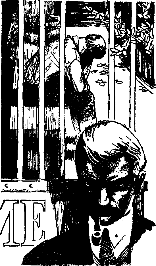 Искатель. 1968. Выпуск №6 - i_024.png