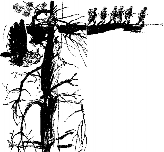 Искатель. 1977. Выпуск №1 - i_004.png
