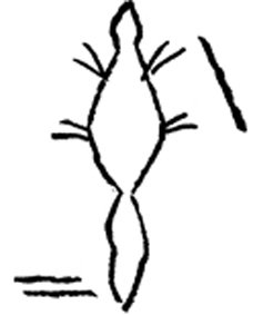 У Пяти ручьев - pic_3.jpg