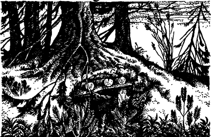 Открытия, войны, странствия адмирал-генералиссимуса и его начальника штаба на воде, на земле и под землей - doc2fb_image_02000007.png