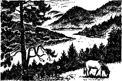 Открытия, войны, странствия адмирал-генералиссимуса и его начальника штаба на воде, на земле и под землей - doc2fb_image_02000011.png