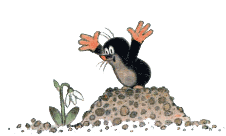 Крот и зеленая звезда - i_001.png