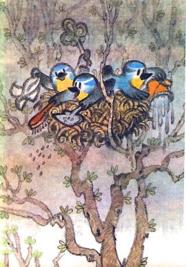 Крот и зеленая звезда - i_004.jpg